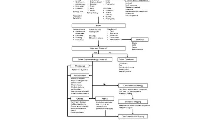Clinical Diagnostic Evaluation of Dystonia