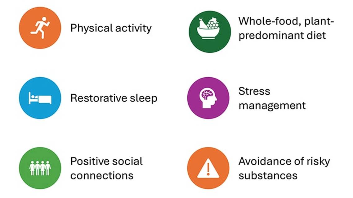 Movement Disorders Moment Incorporating Lifestyle Medicine Into Parkinson Disease CareEvidence and Guidance for Clinical Pr