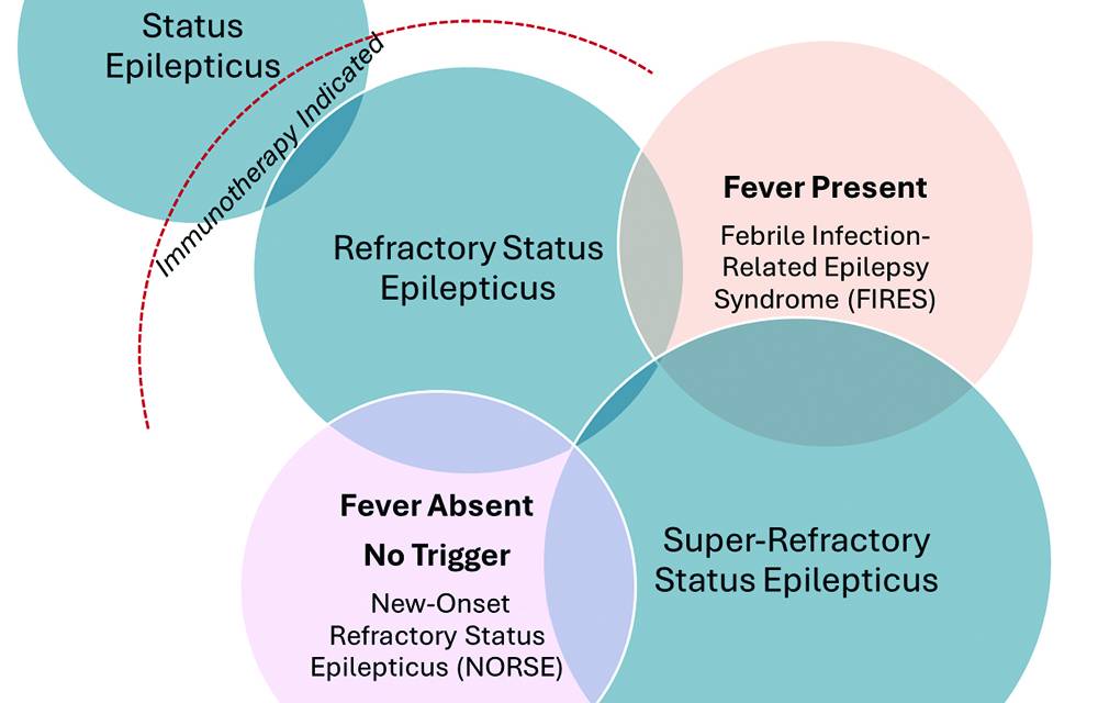 Figure 2 from the Santoro et al article from the Practical Neurology November 2025 issue