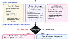 Figure 1 from Hakim and Shulz depicting a frontline clinical decision pathway diagram