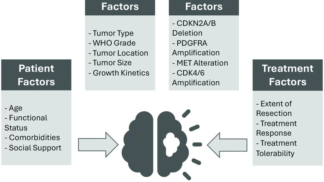 Prognostic factors in IDH mutant glioma include factors that collectively influence prognosis