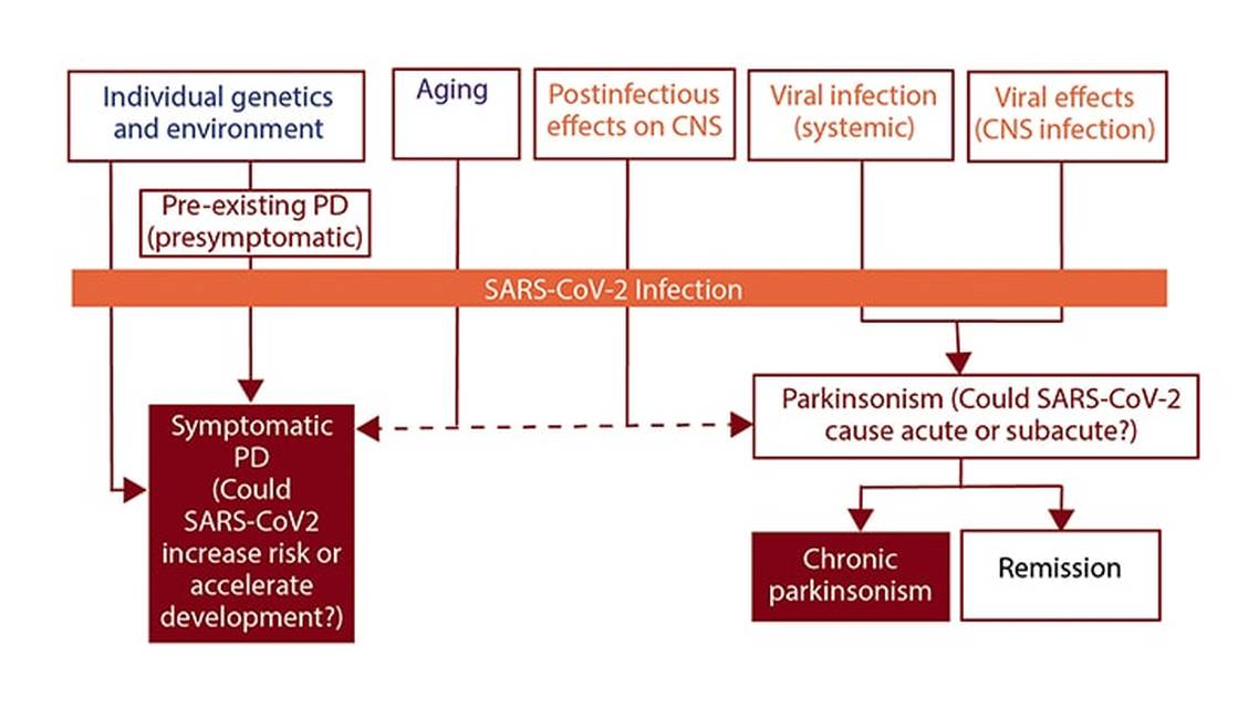 Movement Disorders Moment Parkinson Disease in the COVID 19 Era