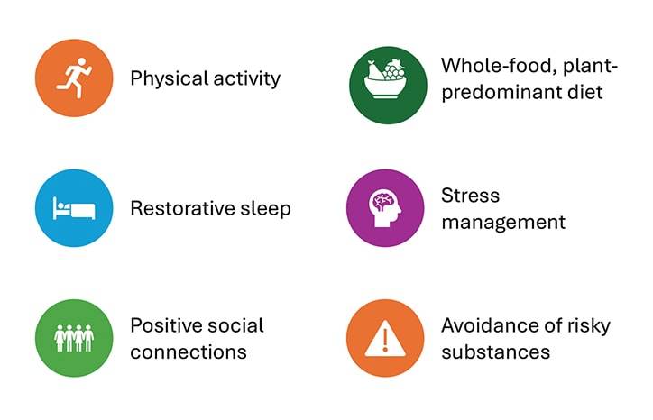 Movement Disorders Moment Incorporating Lifestyle Medicine Into Parkinson Disease CareEvidence and Guidance for Clinical Pr