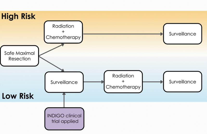 Neuro-Oncology Outlook: Advancements in Targeted Molecular T