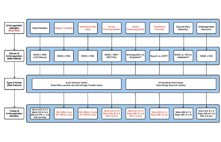 Resumption of Anticoagulant Therapy Following Ischemic and Hemorrhagic Strokes Indications and Timing