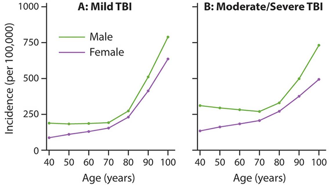Traumatic Brain Injury in Older Adults Epidemiology Management Outcomes