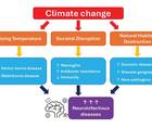 The Effects of Climate Change on Emerging Infections and the Global Landscape of Neuroinfectious Disease