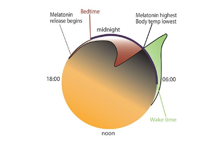 Sleep and Neurodegenerative Disease
