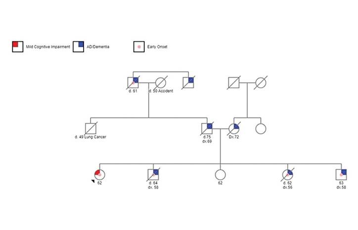 Clinical Genetic Testing for Alzheimer Disease and Related Dementias