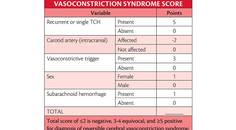 Stroke Snapshot Reversible Cerebral Vasoconstriction Syndrome