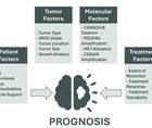 Prognostic factors in IDH mutant glioma include factors that collectively influence prognosis