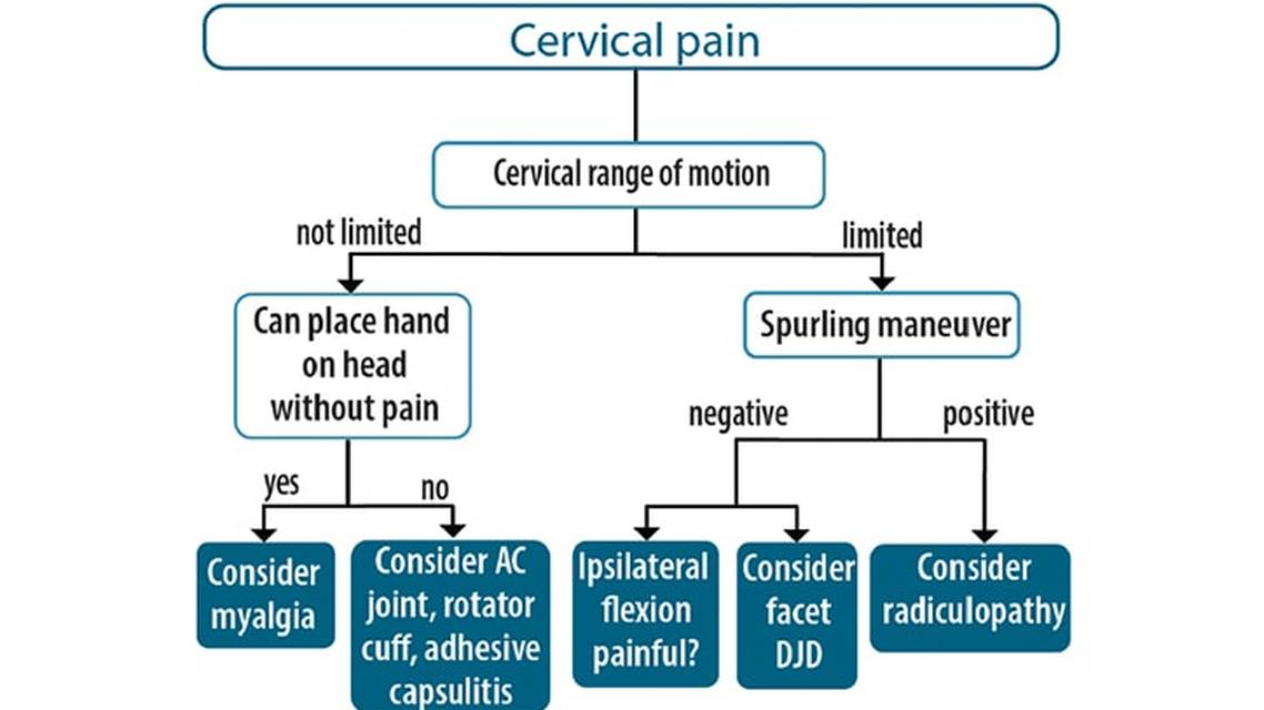 Telemedicine for Pain and Headache