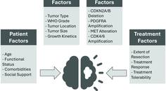 Prognostic factors in IDH mutant glioma include factors that collectively influence prognosis