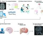 Figure 1 from the article by Dr Edmond appearing in the November 2025 issue of Practical Neurology