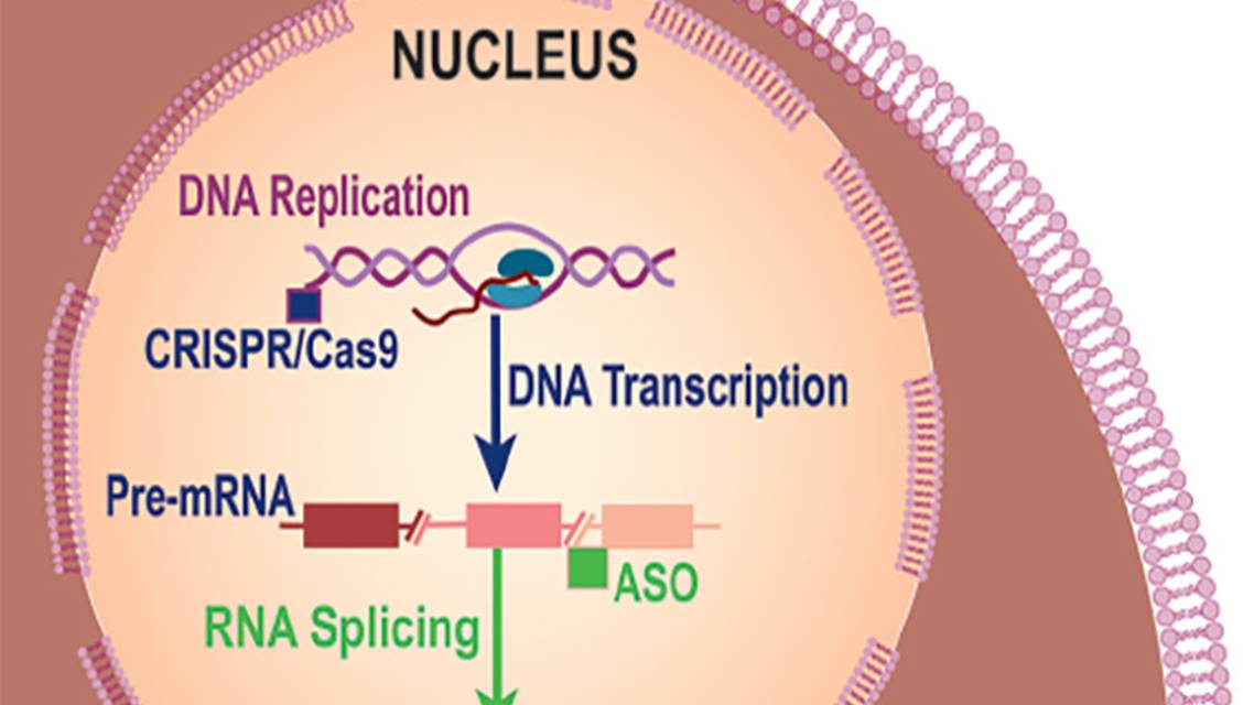 Clinical Trials for Huntington Disease