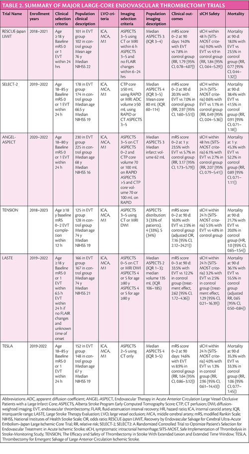 Large Core Ischemic Stroke Imaging