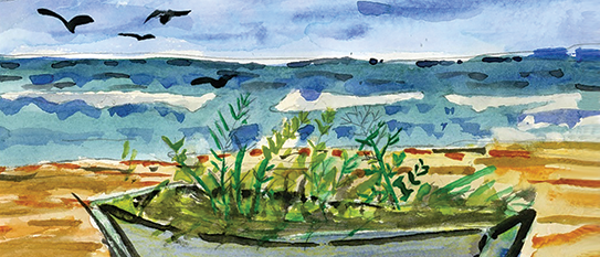 Dementia Diagnosis and Dilemmas