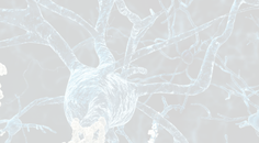 Scapular Winging After Cervical Lymph Node Biopsy