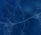 Epilepsy Essentials Seizure Disorders and Commercial Motor Vehicle Operators