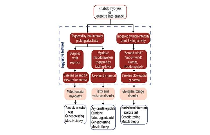 Neuromuscular Notes Diagnosing Metabolic Myopathies