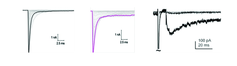 Emerging Selective Sodium Channel Antagonists for Epilepsy