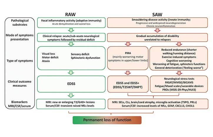 Progressive Multiple Sclerosis Functional Anatomic and Biologic Tools to Assess Disability Progression and Improve Patient