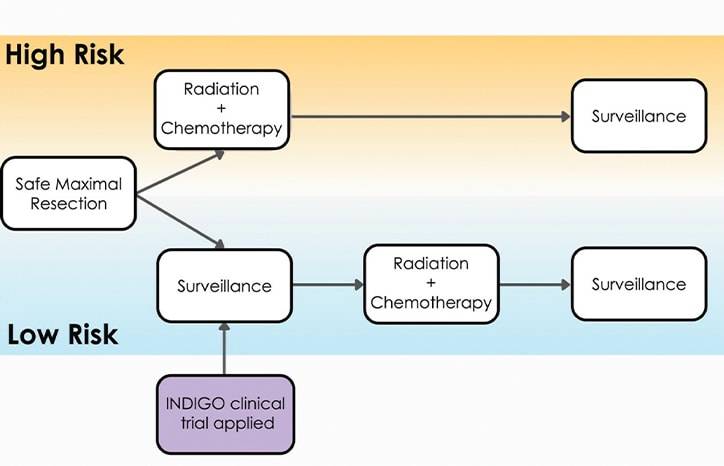 Neuro Oncology Outlook Advancements in Targeted Molecular Therapy for Low Grade GliomasChallenging the Treatment Paradigm