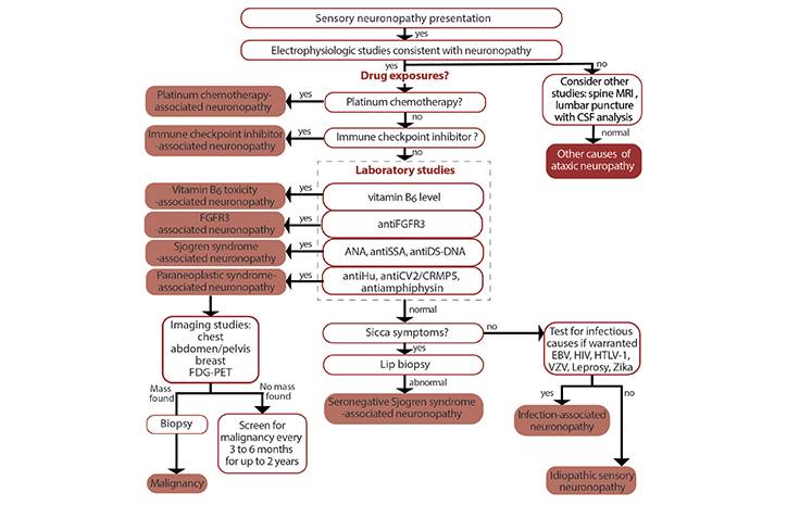 Neuromuscular Notes Neuronopathies