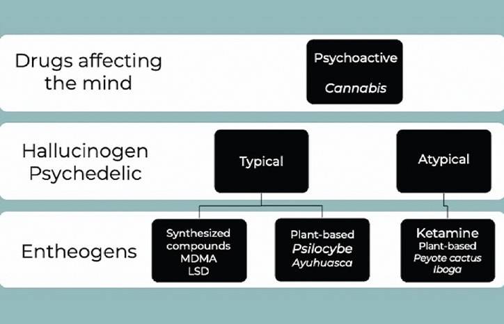 Cannabinoids and Psychedelics for Headache Management