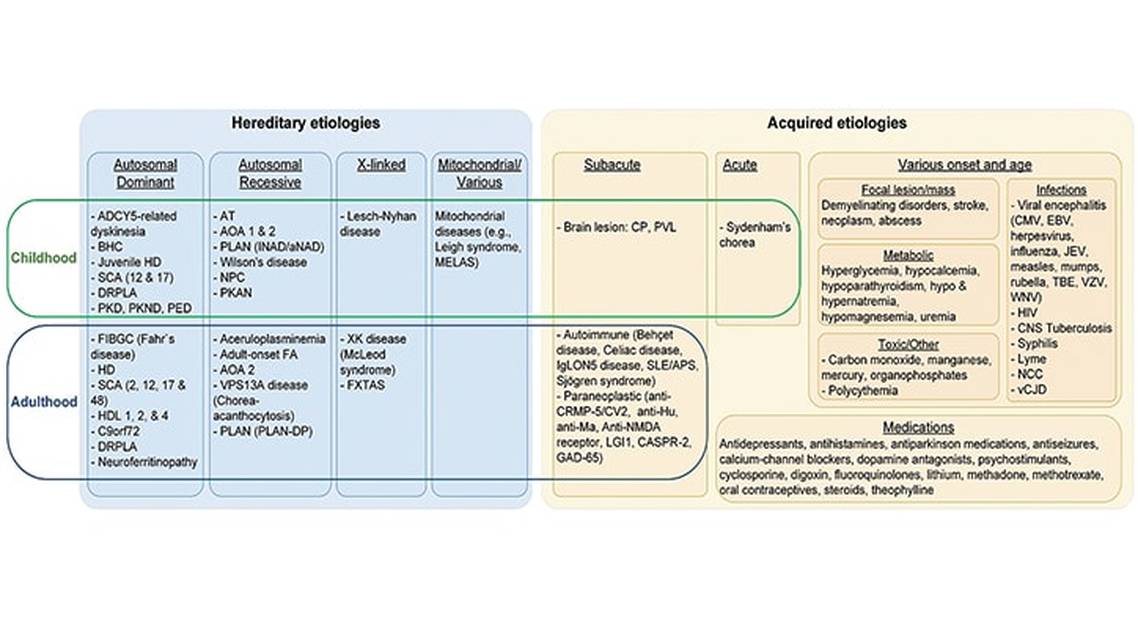 Clinical Approach to the Diagnostic Evaluation of Chorea