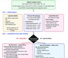 Figure 1 from Hakim and Shulz depicting a frontline clinical decision pathway diagram