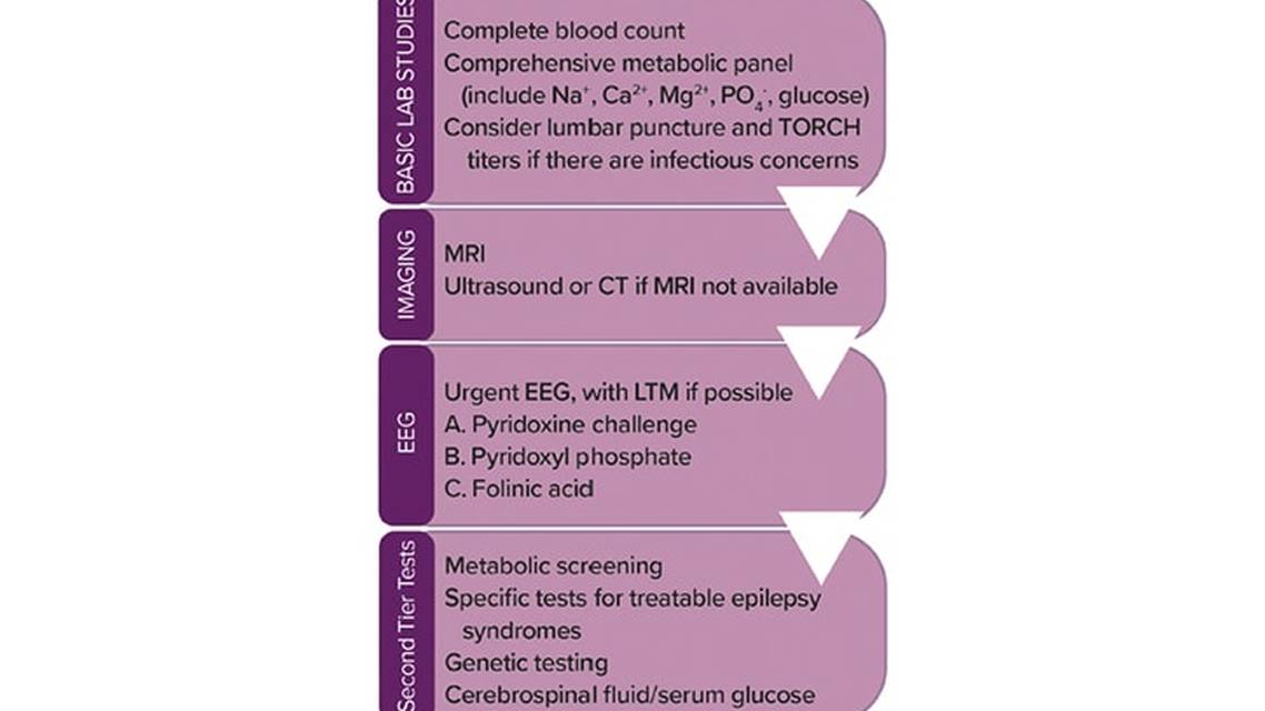 Epilepsy Essentials Metabolic Causes of Neonatal Seizures