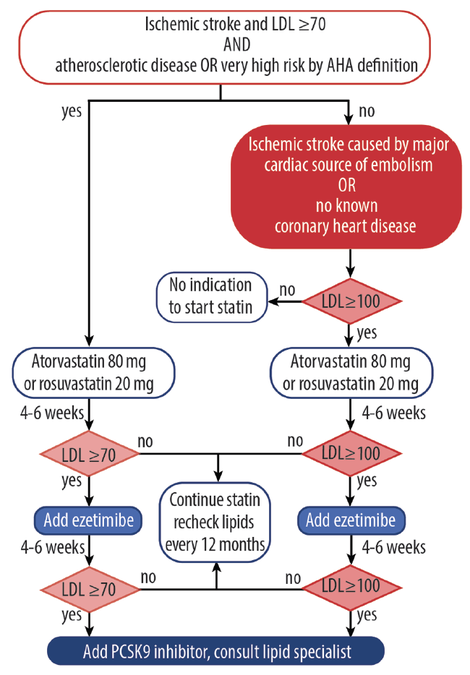 Lipid Management & Smoking Cessation -
