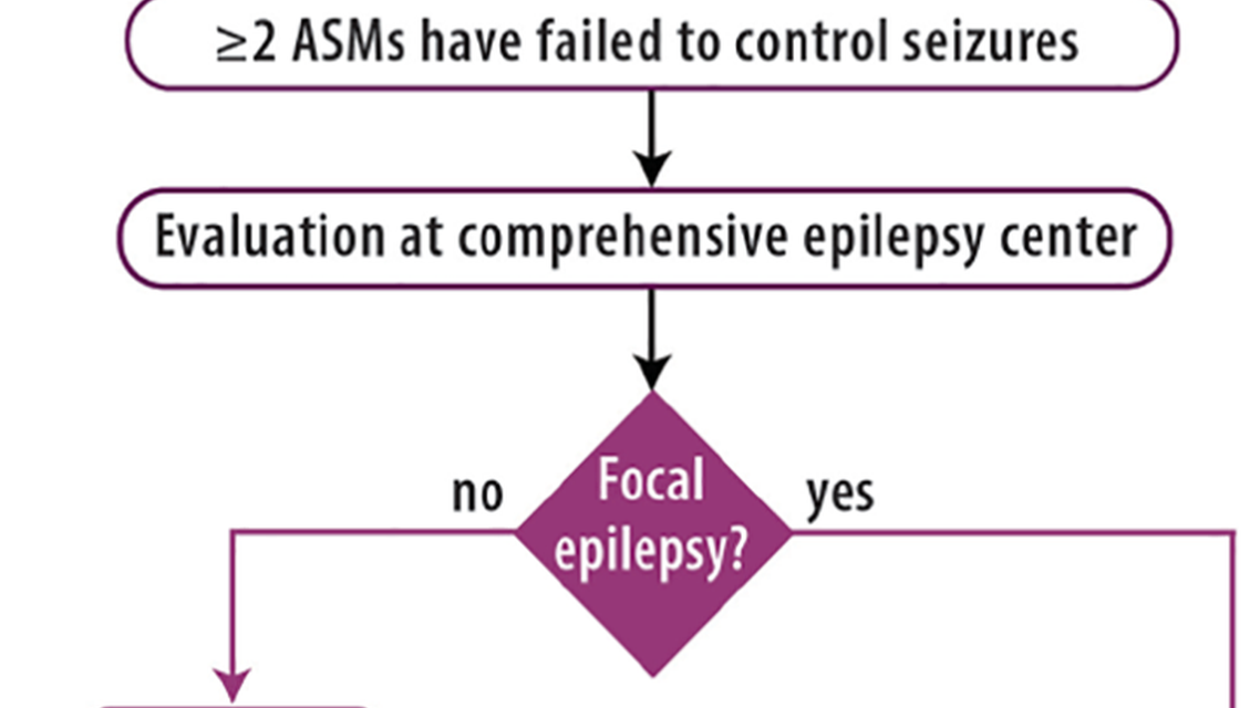 Epilepsy Essentials Neuromodulation for Drug Resistant Epilepsy