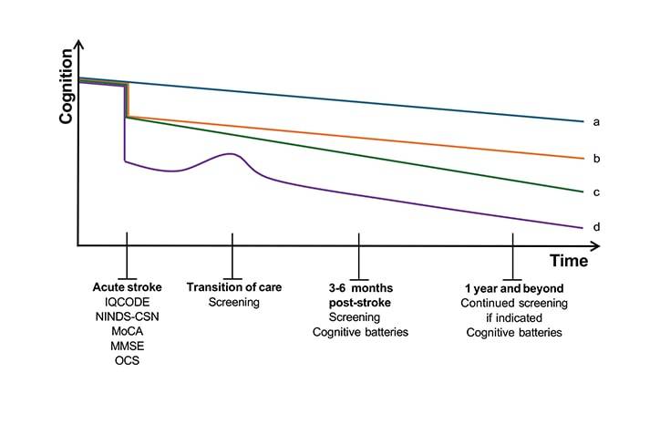 Poststroke Cognitive Impairment and Dementia