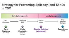 Epilepsy Essentials The Current and Future Landscape of Tuberous Sclerosis Complex Diagnosis and Treatment