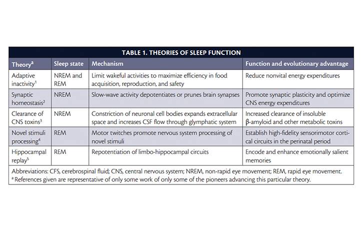 Sleep and Medical Training