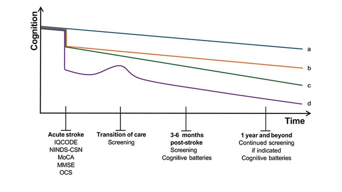 Poststroke Cognitive Impairment and Dementia