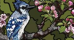 Headache Horizons Recognition Diagnosis and Treatment of Hypnic Headache