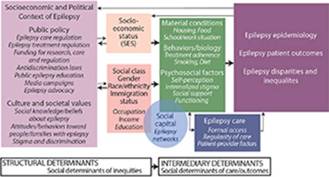 Social Determinants of Health Interact With Epilepsy