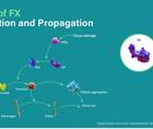 Role of FX Propagation