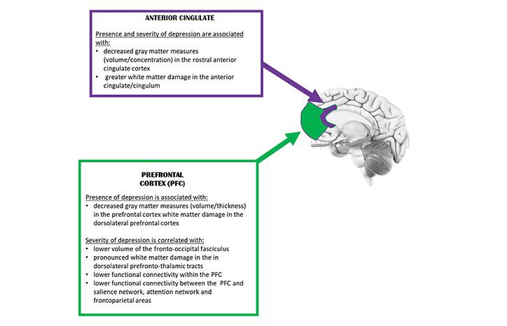 Mood Disorders Following Traumatic Brain Injury