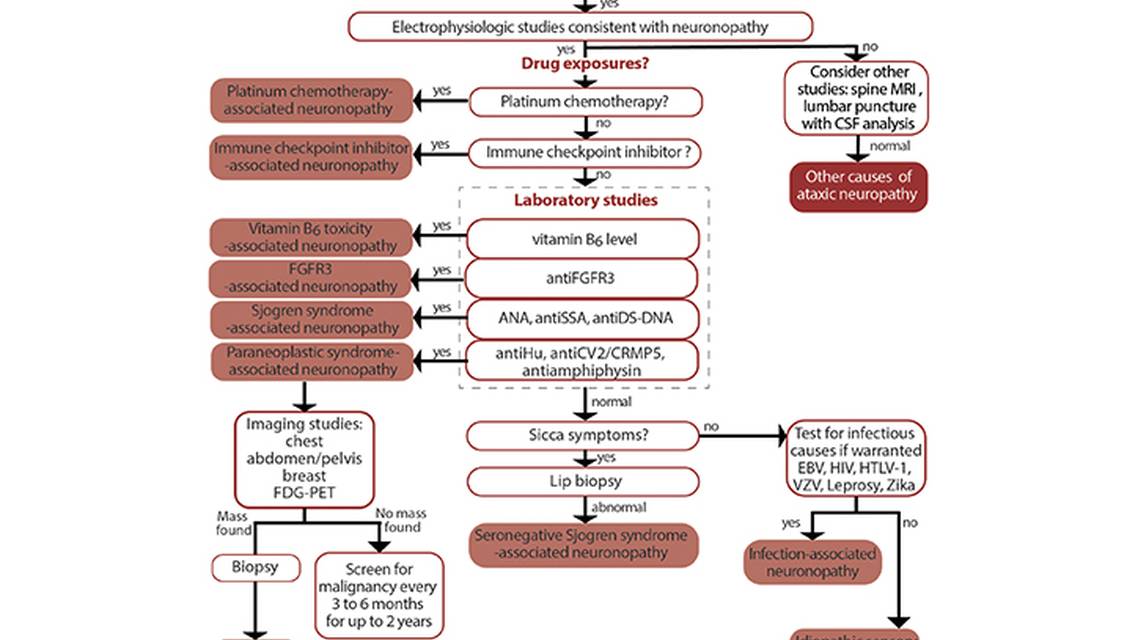 Neuromuscular Notes Neuronopathies