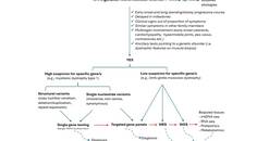 Neuromuscular Notes Genetic Testing for Neuromuscular Diseases