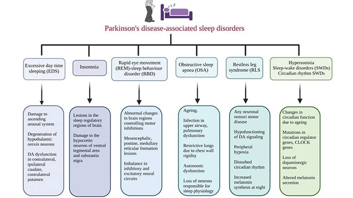 Unraveling the Impact of Environmental Factors on Sleep Quality and Parkinson Disease