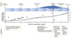 Severe Calcineurin Inhibitor Induced Parkinsonism After Kidney Transplantation