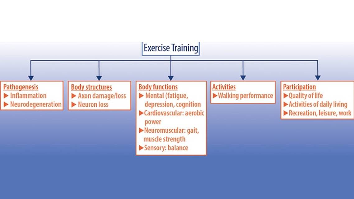 Multiple Sclerosis Minute Physical Activity and MS