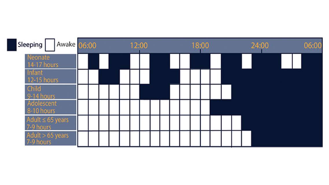 Sleep and Neurodevelopment