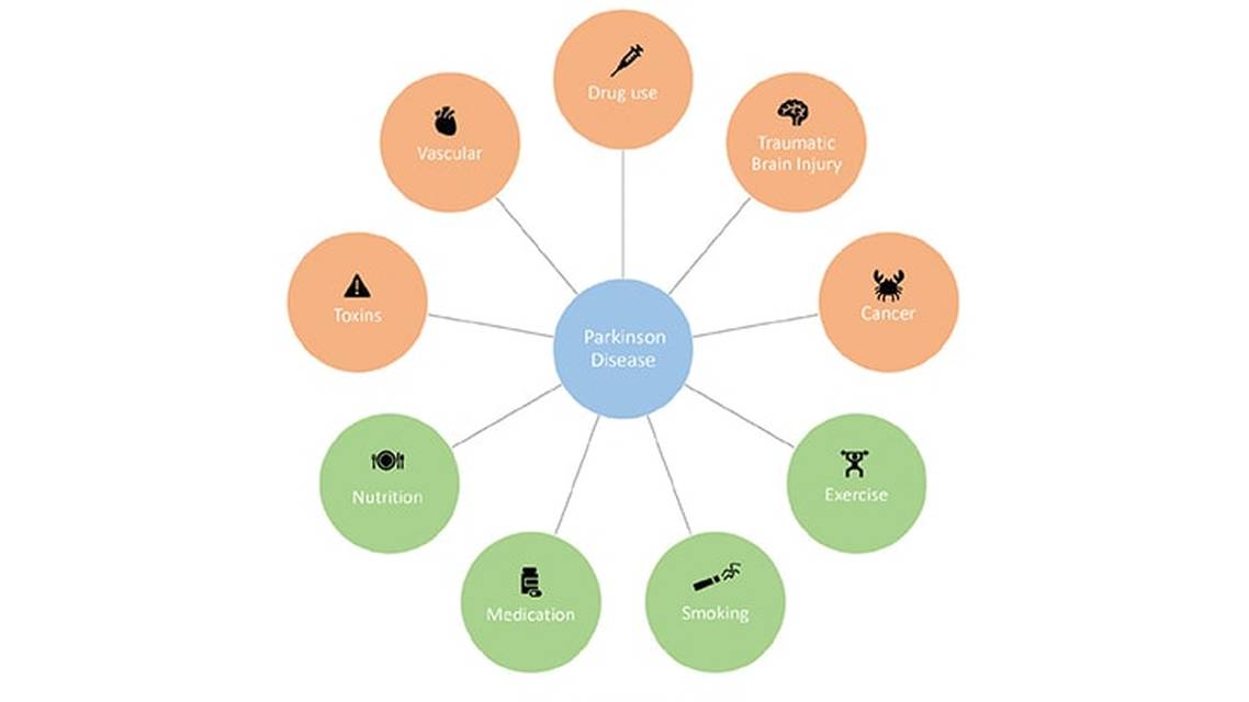 Movement Disorders Moment Environmental and Biologic Risk and Protective Factors Associated with Parkinson Disease