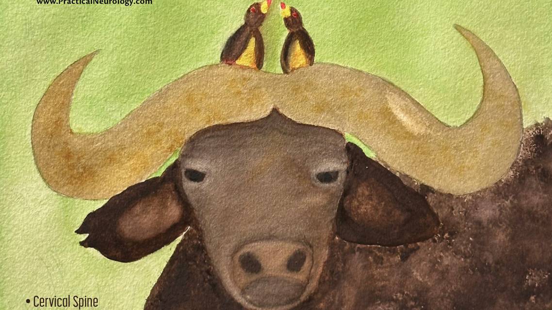PN0525 Cover